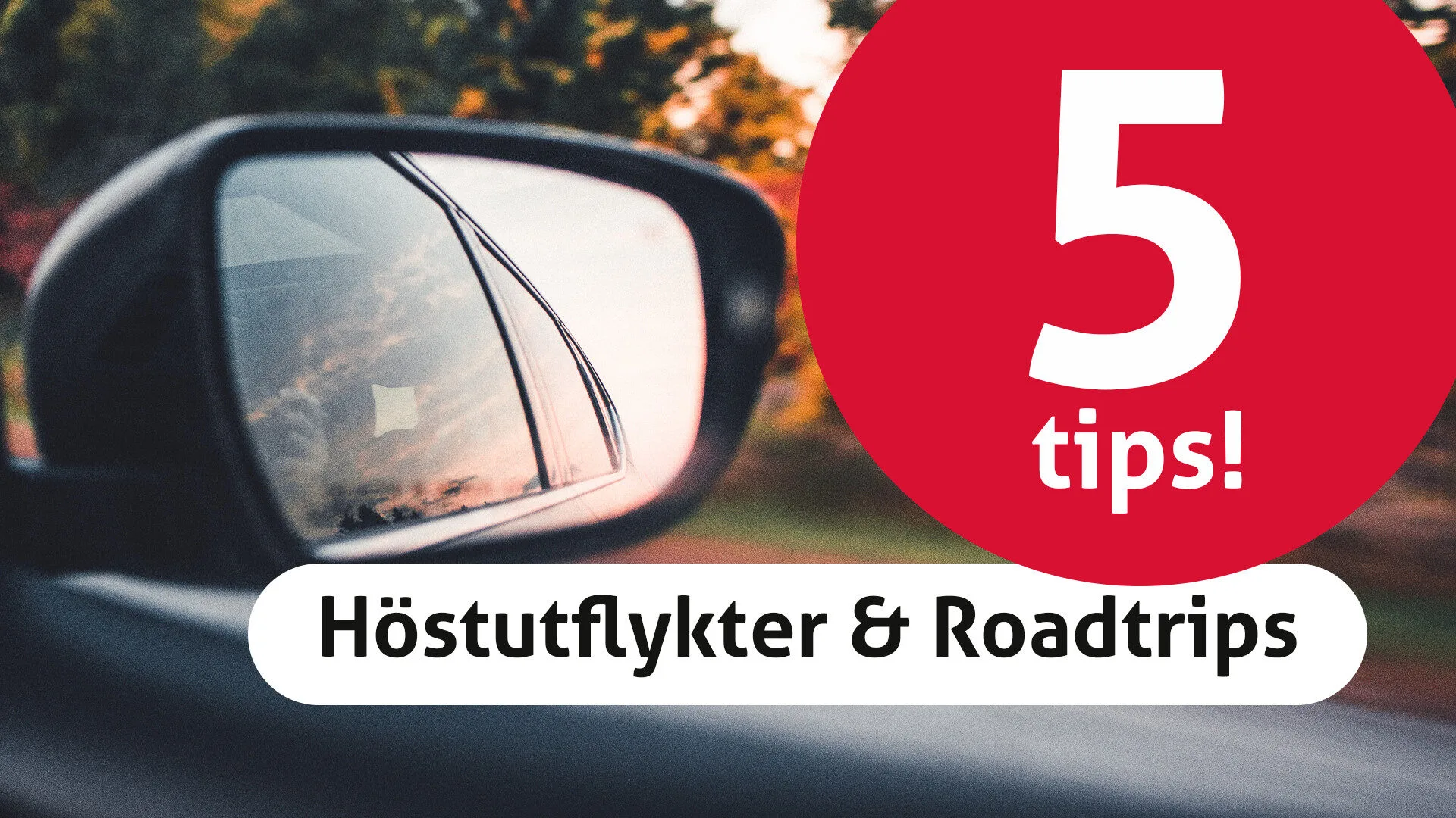 5 autumn road trips 5 tips for autumn excursions & road trips!