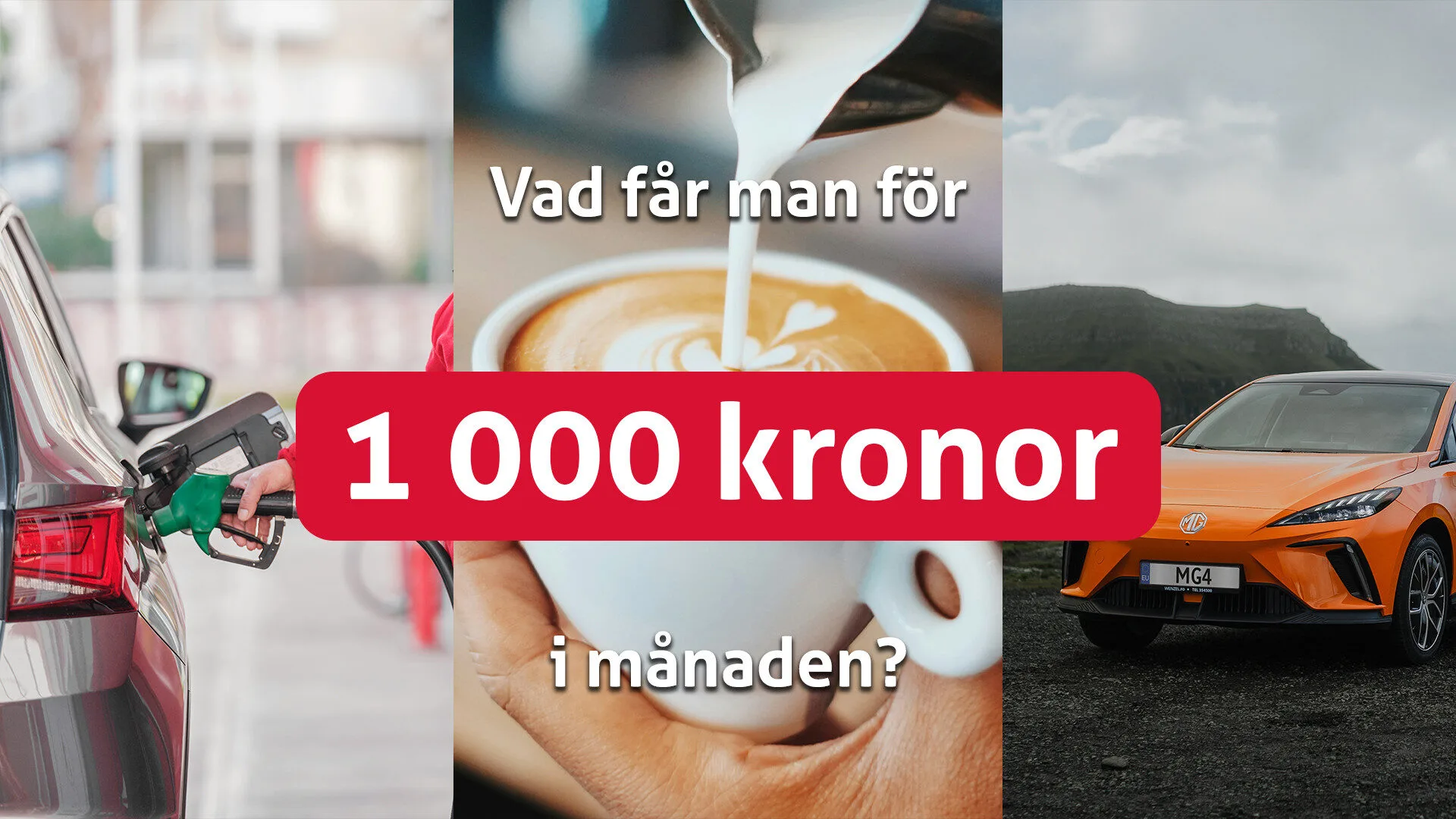 1000 kr i manaden header Vad får man för 1 000 kronor i månaden?