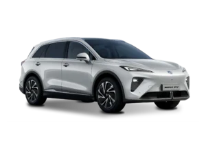 cosmic silver MGS6 EV