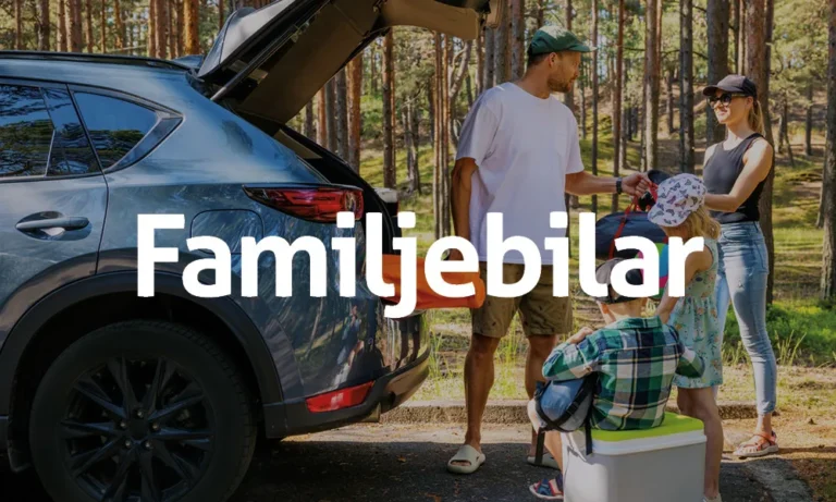 niemibil begbilfilter 3 Familjebilar