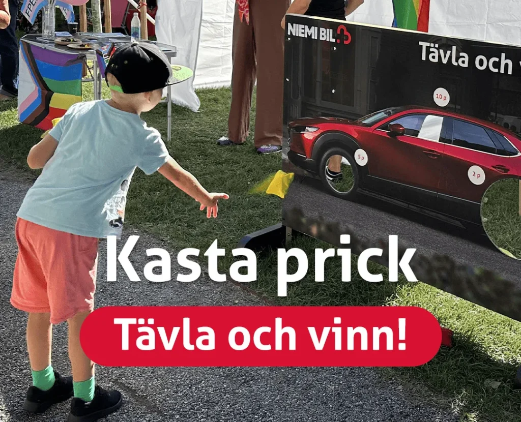 Kasta prick tavla och vinn Familjedag i Luleå