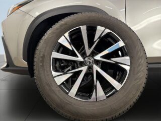 Lexus NX 350h AWD E-CVt S&V-Hjul/Kamera/Dragkrok/Navi/Carplay – bild 14