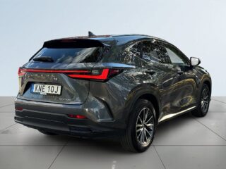 Lexus NX 450h+ Executive MOMS/SoV-Däck/Pano/Elstol/360/HuD – bild 6