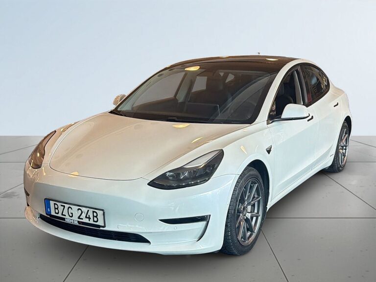 Tesla Model 3 Long Range AWD Long Range Kamera/Navi/MOMS