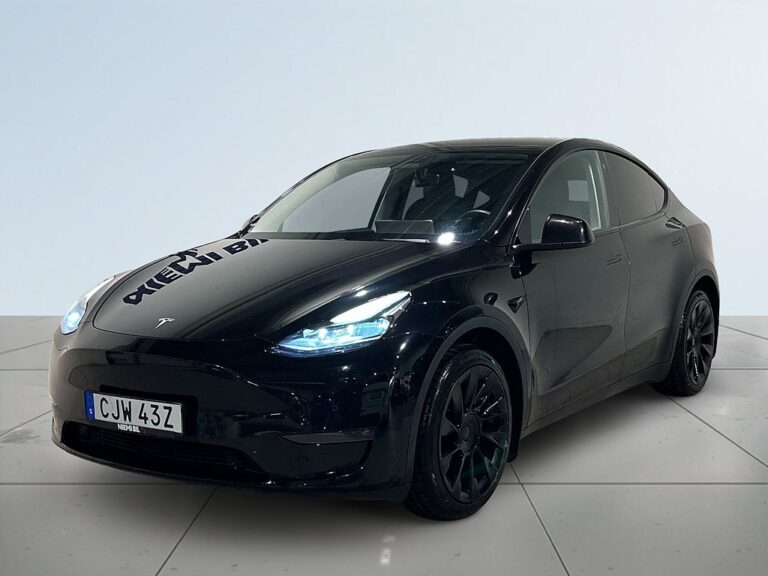 Tesla Model Y Long Range AWD Long Range Drag Pano Kamera SoV MOMS
