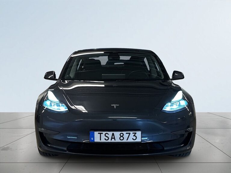 Tesla Model 3 Long Range AWD Värmepump Drag Pano Kamera GPS Skinn SoV