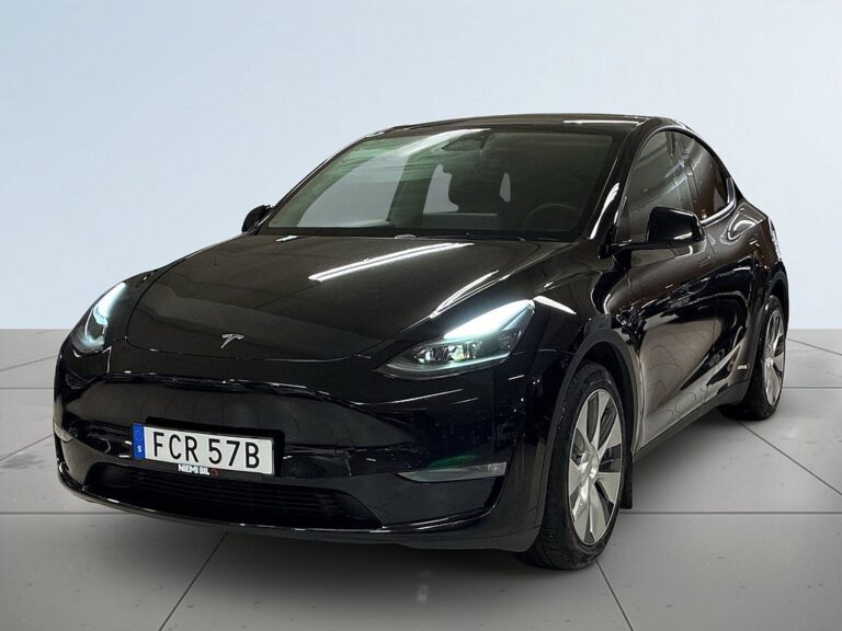 Tesla Model Y Long Range AWD MOMS Dragkrok B-kamera Panorama Navi S&V