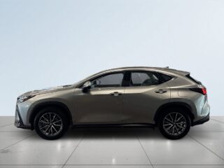 Lexus NX350h 350h AWD E-CVt S&V-Hjul/Kamera/Dragkrok/Navi/Carplay – bild 4